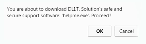 Step 2 of DLIT Remote IT Support
